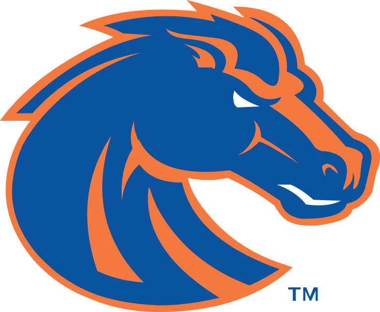 Boise State Broncos 2002-2012 Secondary Logo v2 DIY iron on transfer (heat transfer)